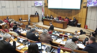 Senado aprueba proyecto de ley 'Ñane Energía' | Noticias Paraguay