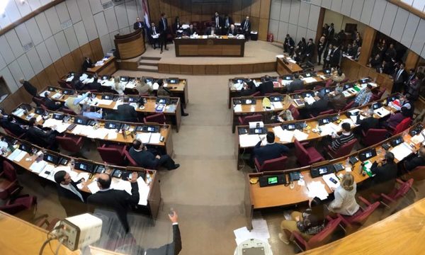 «Ñane Energía» pasa al Ejecutivo