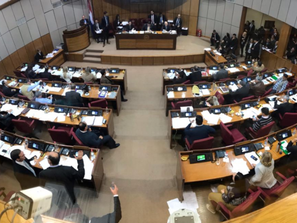 Senado sanciona proyecto 'Ñane Energía' - Radio 1000 AM