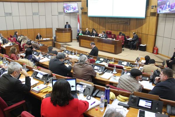 Senado aprobó proyecto Ñane Energía y pasó al Ejecutivo