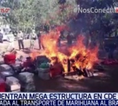 Tras incautación de 4.400 kilos de marihuana, allanan importadora - Paraguay.com