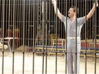 Tigres de circo matan a domador en Italia