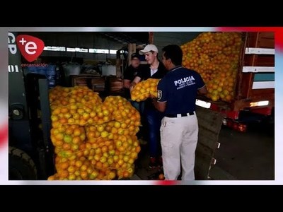 Tipifican contrabando como crimen, con penas de 15 años