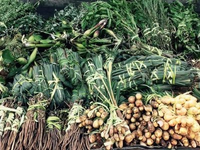 Los remedios yuyos más requeridos en épocas de frío