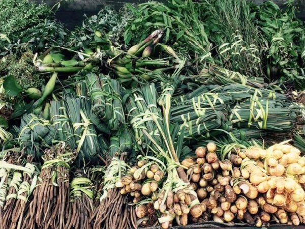 Los remedios yuyos más requeridos en épocas de frío
