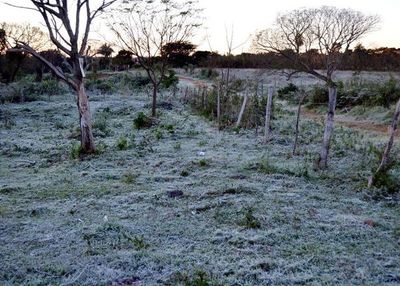 Heladas se hicieron sentir con intensidad en zona de Misiones - {{content.taxonomy.primary_section.name}} - ABC Color