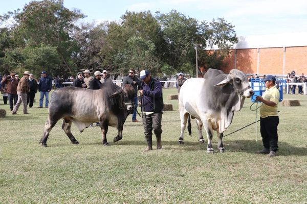 Inauguran sector ganadero en la Expo Mariano