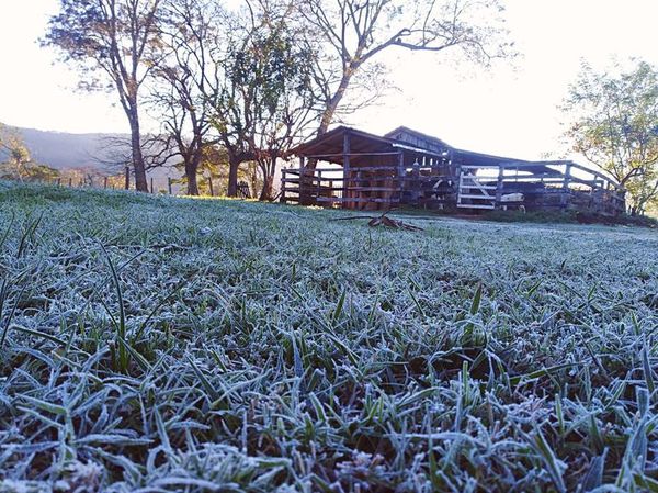 Frío rompió récords: temperatura bajó hasta casi -3 °C  - Nacionales - ABC Color