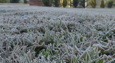 Temperatura llegó a casi -3 °C este domingo | Noticias Paraguay