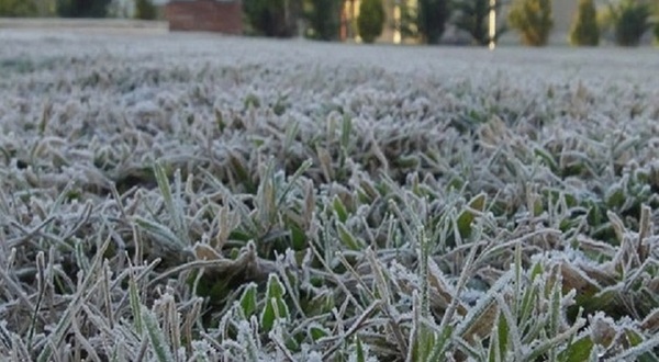 Temperatura llegó a casi -3 °C este domingo | Noticias Paraguay