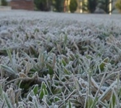 Frío polar: Temperatura llegó a casi -3 °C este domingo - Paraguay.com