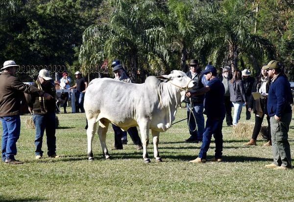 Se realiza admisión de animales en primeros días de la expo más destacada del país