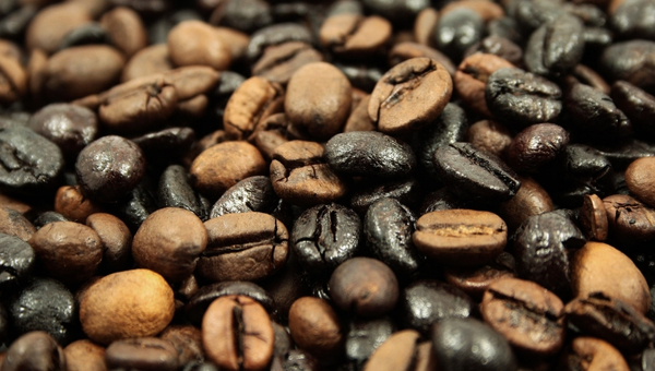 Laura Doldán: “Está claro que nuestro país tiene potencial para el mercado del café”