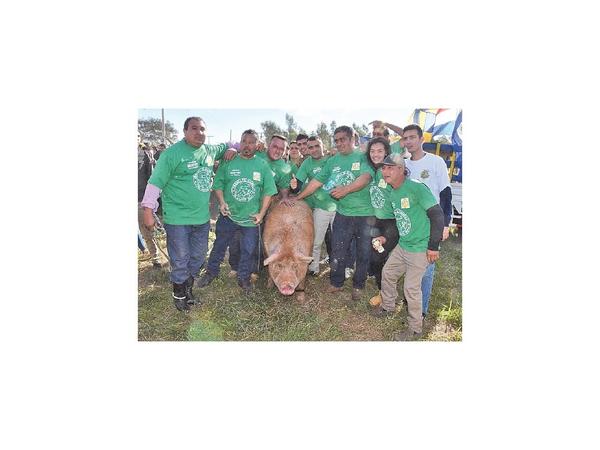 En Kure Ára premian al chancho más feo