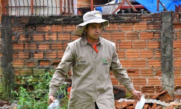 “Pará-na los criaderos”: trabajos de rastrillaje y fumigación previstos para hoy lunes