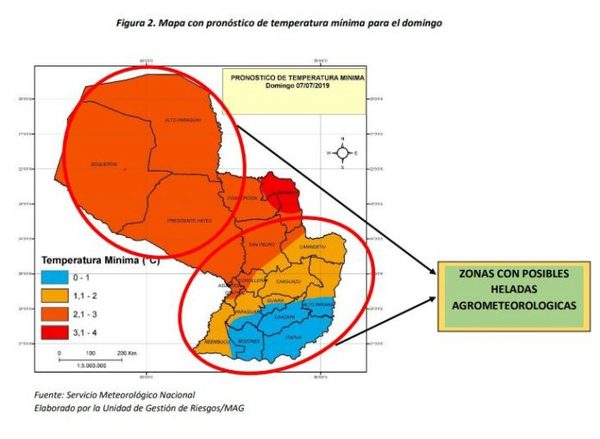 MAG emite recomendaciones para cuidar cultivos tras primeras heladas