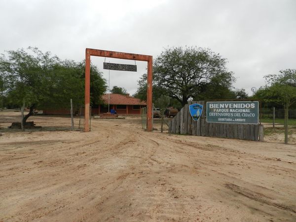 El Código Ambiental paraguayo deberá prever áreas silvestres con conectividad