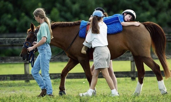 Caballitos de equinoterapia necesitan mantas para resistir el invierno » Ñanduti