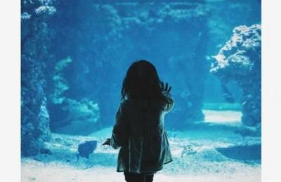 Niña de un año muere tras caer de lo más alto de un crucero; jugaba con su abuelo - C9N