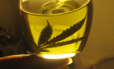 Productor de aceite de cannabis cumple 3 años de prisión » Ñanduti