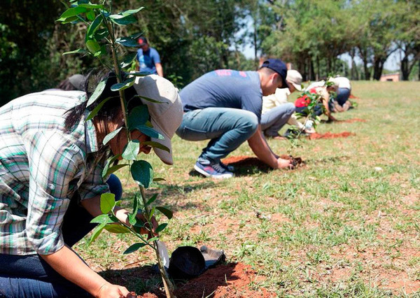 ATP y Palo Santo invitan al tercer concierto del año para plantar más árboles » Ñanduti