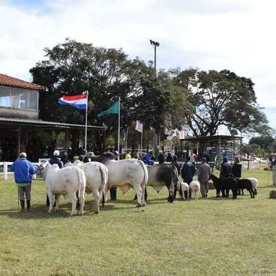 Expo agroganadera paraguaya con la mira puesta en capital extranjero