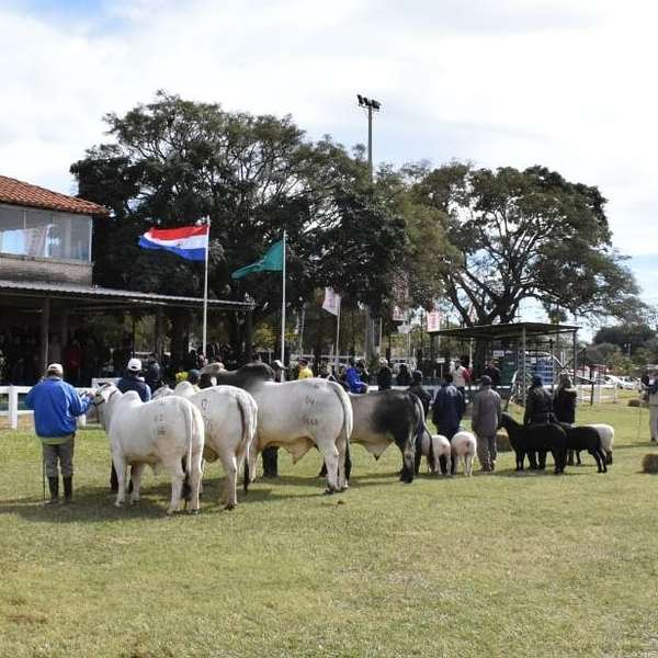 Expo agroganadera paraguaya con la mira puesta en capital extranjero