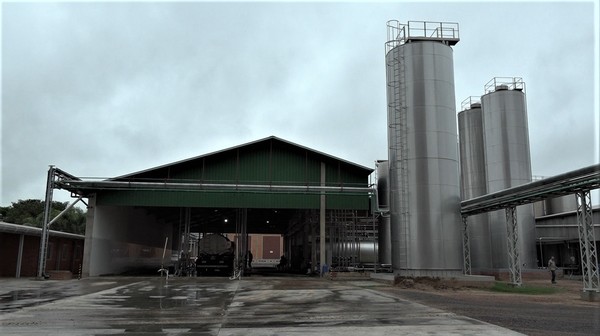 Producción de leche se restablece tras duro golpe de inundaciones en el Chaco