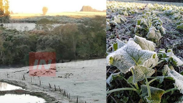 TRP: PÉRDIDAS MILLONARIAS EN LA PRODUCCIÓN FRUTIHORTÍCOLAS POR HELADAS