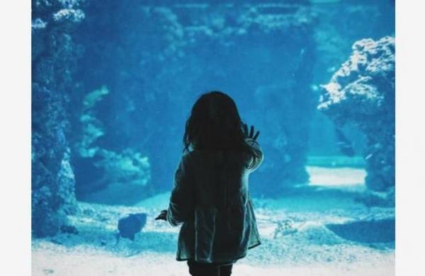 Niña de un año muere tras caer de lo más alto de un crucero; jugaba con su abuelo - C9N