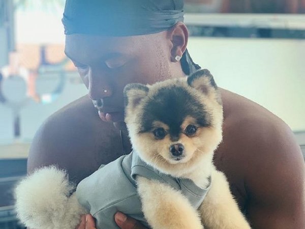 Sturridge ofrece una millonaria recompensa por su perro desaparecido