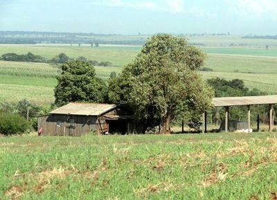 Brigada Indígena que atacó a estancia en Amambay podría ser una célula del EPP » Ñanduti