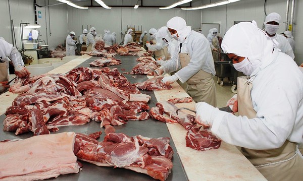 Sector ganadero e industria cárnica del Paraguay, entre los intereses de Uruguay - ADN Paraguayo