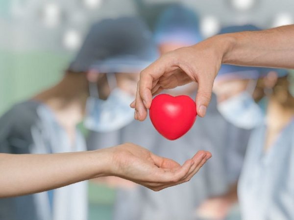 Tasa de donantes aumentó con la modificación de la Ley de Trasplante