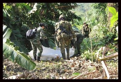 FARC denunciará ante la Fiscalía un plan de asesinato de sus líderes - Mundo - ABC Color