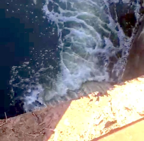 Denuncian a Azucarera Paraguaya por contaminación del arroyo Tava