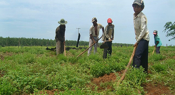 Itaipu con proyecto apoyará a 10.000 nuevos productores de la agricultura familiar | .::Agencia IP::.