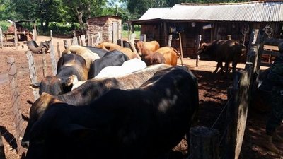 Cae profesor que integraba banda de abigeos