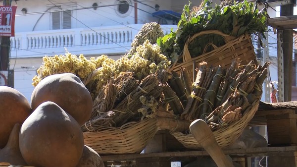 Ante cambio de temperaturas muchos optan por las hierbas medicinales