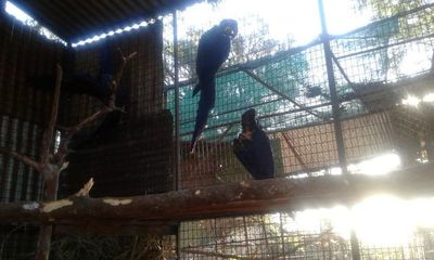 Zoo encarnaceno, una alternativa para las vacaciones - Nacionales - ABC Color