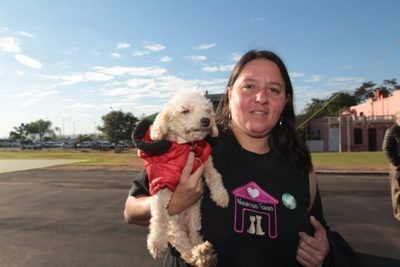 Crean Dirección Nacional de Defensa Animal