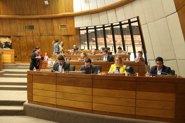 Diputados aprueba modificación del Código Penal y vuelve al senado