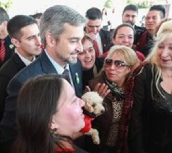 Ejecutivo establece Dirección para protección de animales  - Paraguay.com