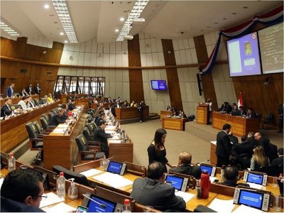 Aprueban proyecto de ley similar a Ñane Energía