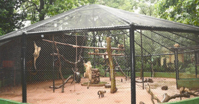 El zoológico de Encarnación para dar un paseíto