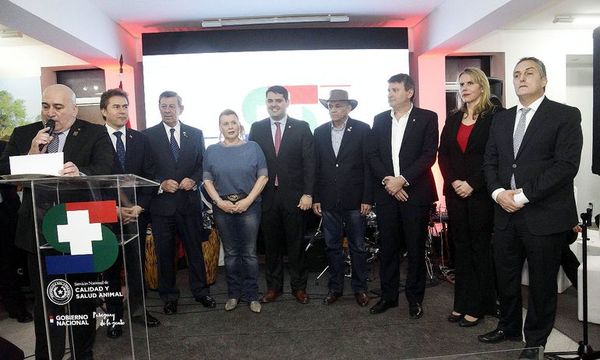 Exportación cárnica a la UE, a favor de Paraguay y Uruguay - Economía - ABC Color