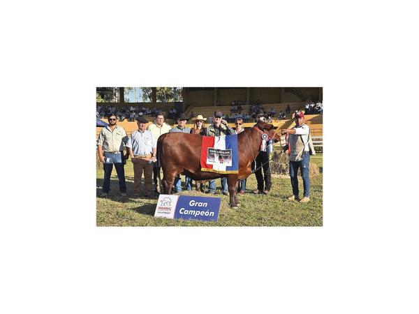 La Expo 2019 ya tiene a sus primeros grandes campeones