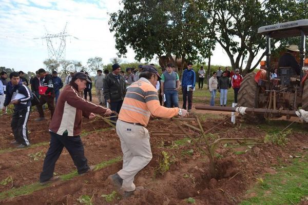 Promueven el cultivo de papa en Misiones - Digital Misiones