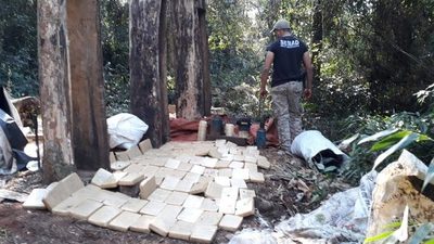 HALLAN TONELADAS DE MARIHUANA EN LA RESERVA SAN RAFAEL.
