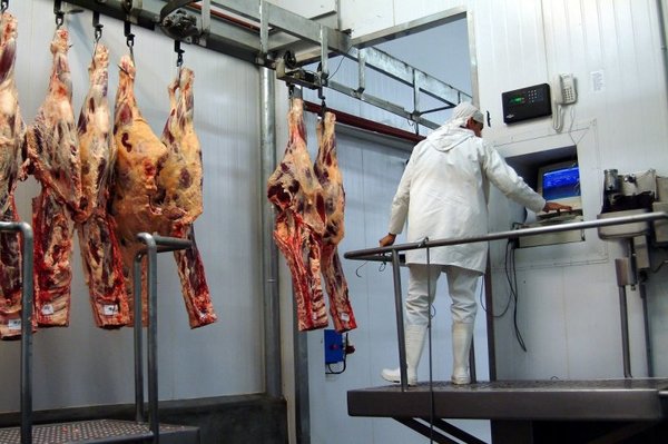 Industrias a favor del Instituto de la Carne pero “sin significar una nueva institución pública”